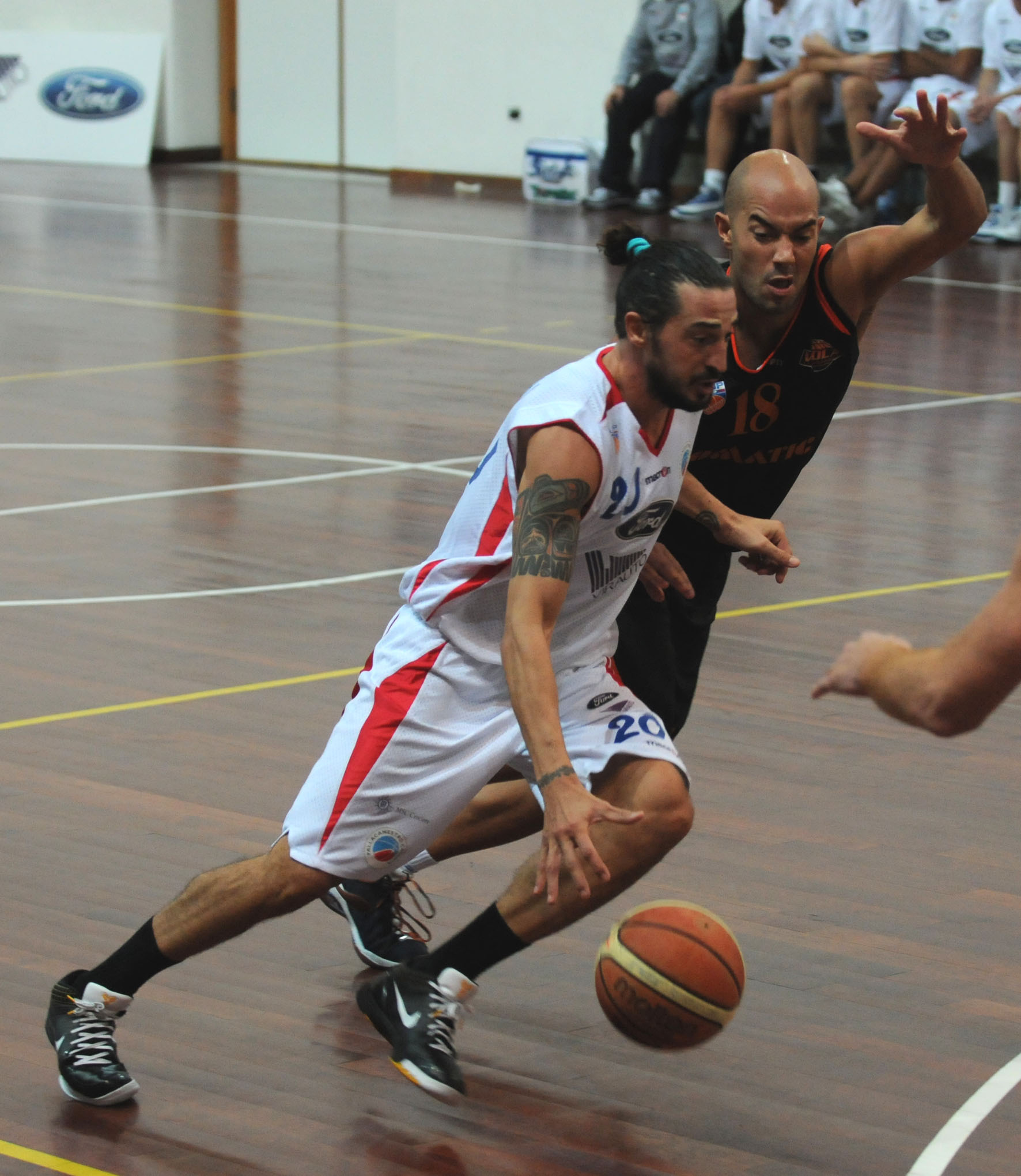 trevisan